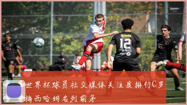 世界杯球员社交媒体关注度排行C罗梅西哈姆名列前茅
