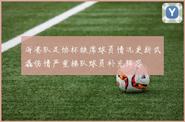 海港队足协杯缺席球员情况更新武磊伤情严重梯队球员补充阵容
